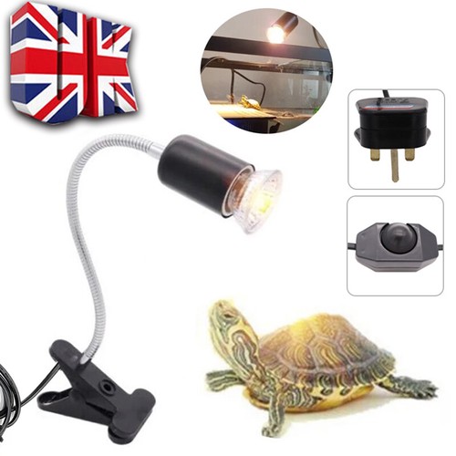 Reptile heat light bulb - heat,